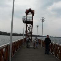 , mokunka