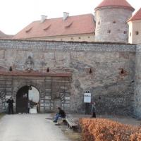 , mokunka