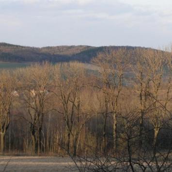 , Krzysztof