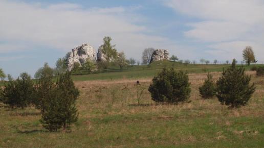 Przybynów - skałki, Tadeusz Walkowicz