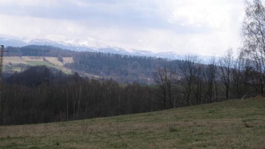 , Krzysztof