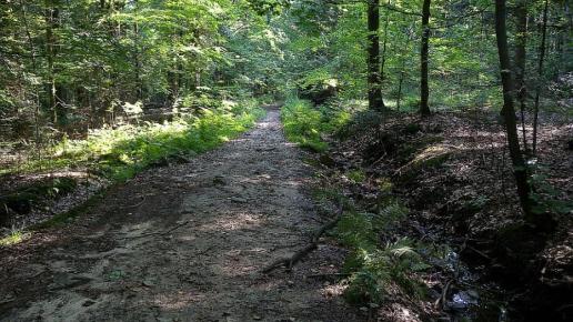 na szlaku Święta Katarzyna - Bodzentyn (niebieski), Sylwester Jędrzejczak