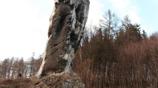 , mokunka