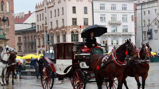 Rynek w Krakowie