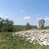 Mirów-ostaniec na górze zamkowej, Edward Krężel