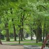 Park, Tadeusz Walkowicz