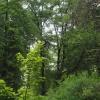 Park, Tadeusz Walkowicz