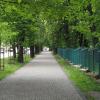 Park, Tadeusz Walkowicz