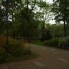 Park, Tadeusz Walkowicz