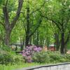 Park, Tadeusz Walkowicz