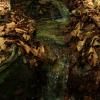 , Anna Siemomysła