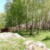 , mokunka