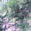 , mokunka