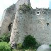 , mokunka