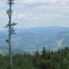 Beskid Śląski : Wisła Głębce-Kiczory-Wlk. Stożek-Szoszów Wlk-Wisła Uzdrowisko, Roman Świątkowski