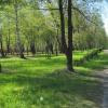 Mysłowice, Roman Świątkowski