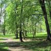 Park przy pałacu Miroszewskich, Roman Świątkowski