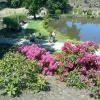 Arboretum Wojsławice, marian