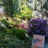 Arboretum w Wojsławicach, marian