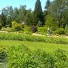 Arboretum w Wojsławicach, marian
