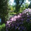 Arboretum Wojsławice, marian
