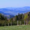 Hala Boracza - widok na Beskid Śląski