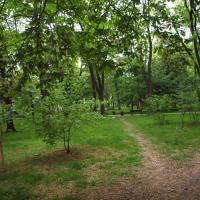 Park, Tadeusz Walkowicz