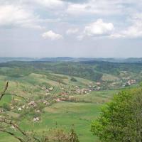 , Krzysztof Dorota