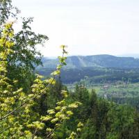 widok na dzikowiec, Krzysztof Dorota