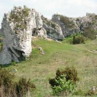 , mokunka
