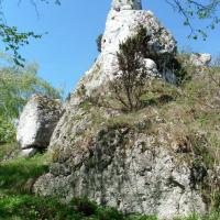 , mokunka