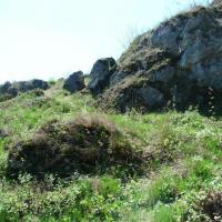 , mokunka