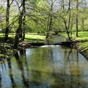 Park Oliwski w Gdańsku
