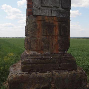 Kolumna Denhoffa., Tadeusz Walkowicz