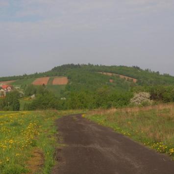 Góra Wymyślona, Tadeusz Walkowicz