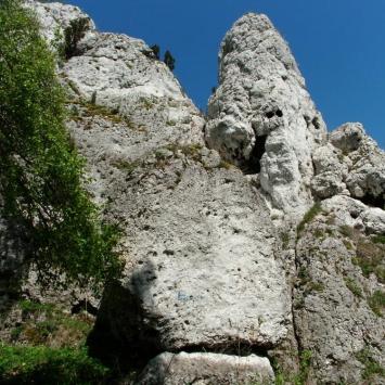 , mokunka