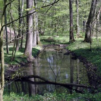 Dolina Siedmiu Młynów, Zbyszek Mat
