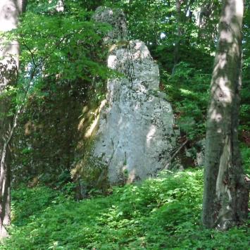 Góra Chełm na Jurze, mokunka