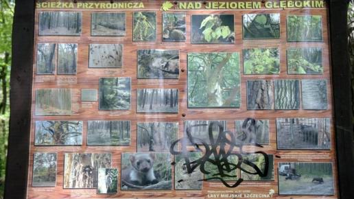 , Zbyszek Mat