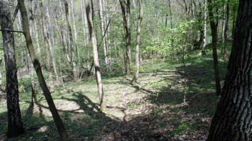 , Zbyszek Mat