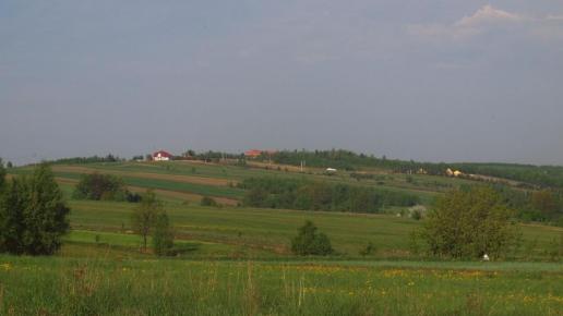 Krajno Pierwsze, Tadeusz Walkowicz