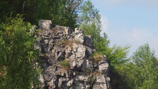 , Tadeusz Walkowicz