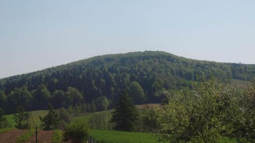 Kobyla Góra, Tadeusz Walkowicz