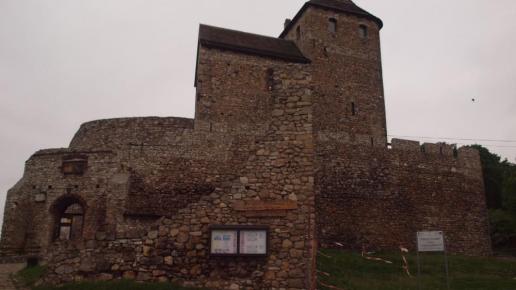 Zamek w Będzinie , Tadeusz Walkowicz
