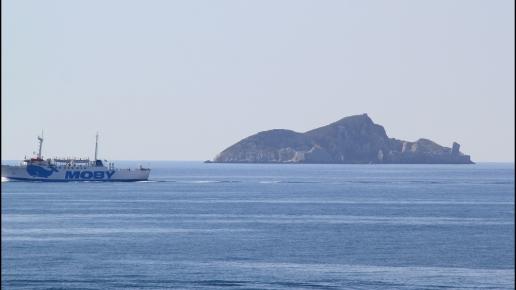 Montecristo, Adam Prończuk
