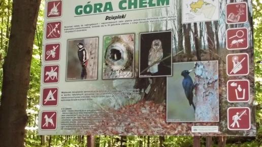 Rezerwat Góra Chełm, mokunka