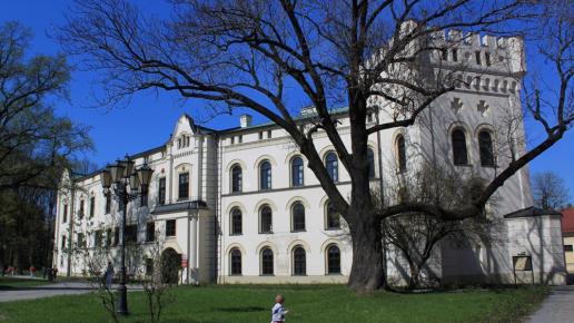Zamek w Żywcu