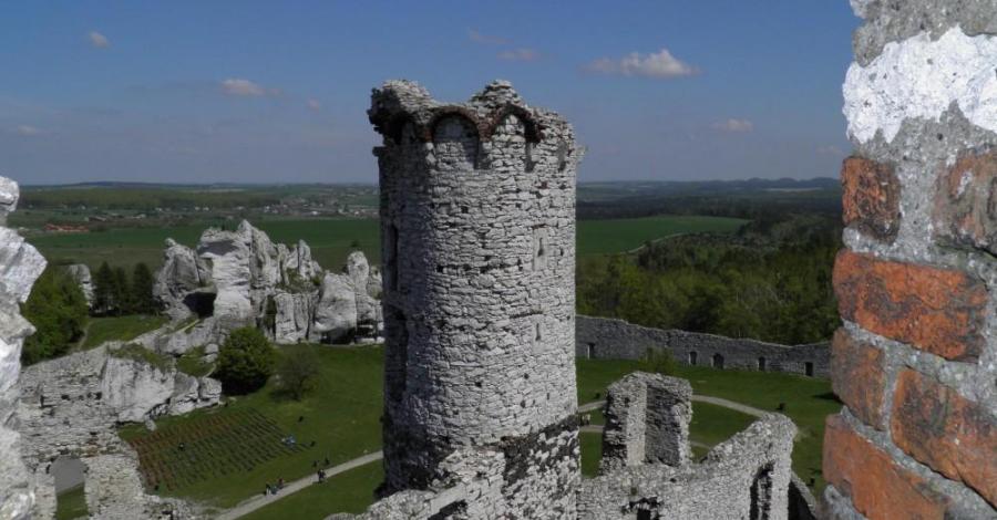ZAMEK-OGRODZIENIEC - zdjęcie