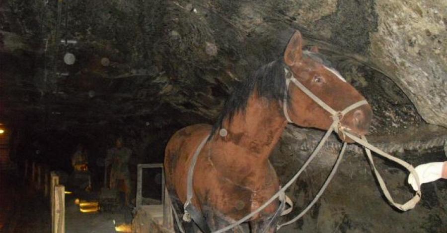 KOPALNIA SOLI-WIELICZKA - zdjęcie