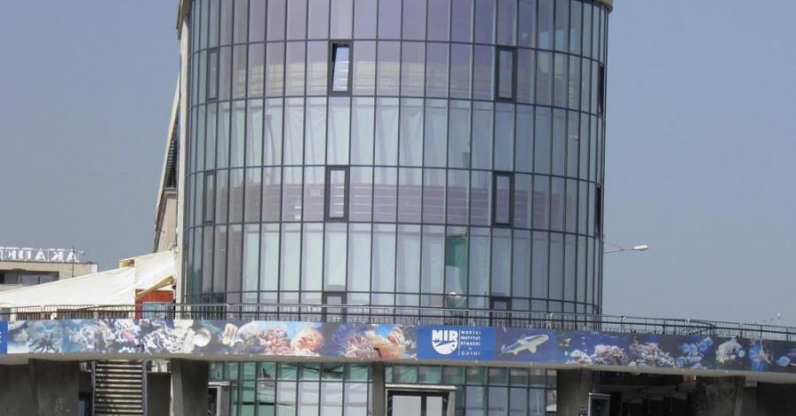 GDYNIA - zdjęcie